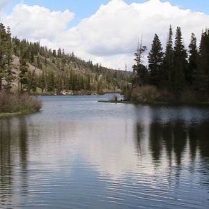 Meet your Posher, Laura jerry